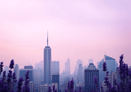 New York - Creative Ayeesha