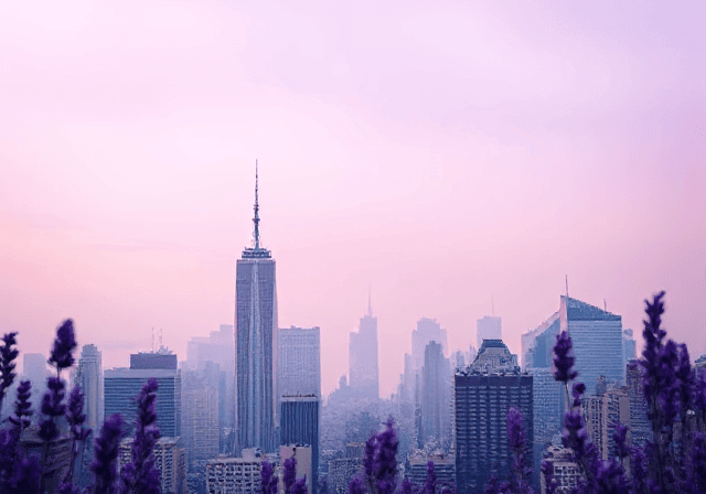 New York - Creative Ayeesha