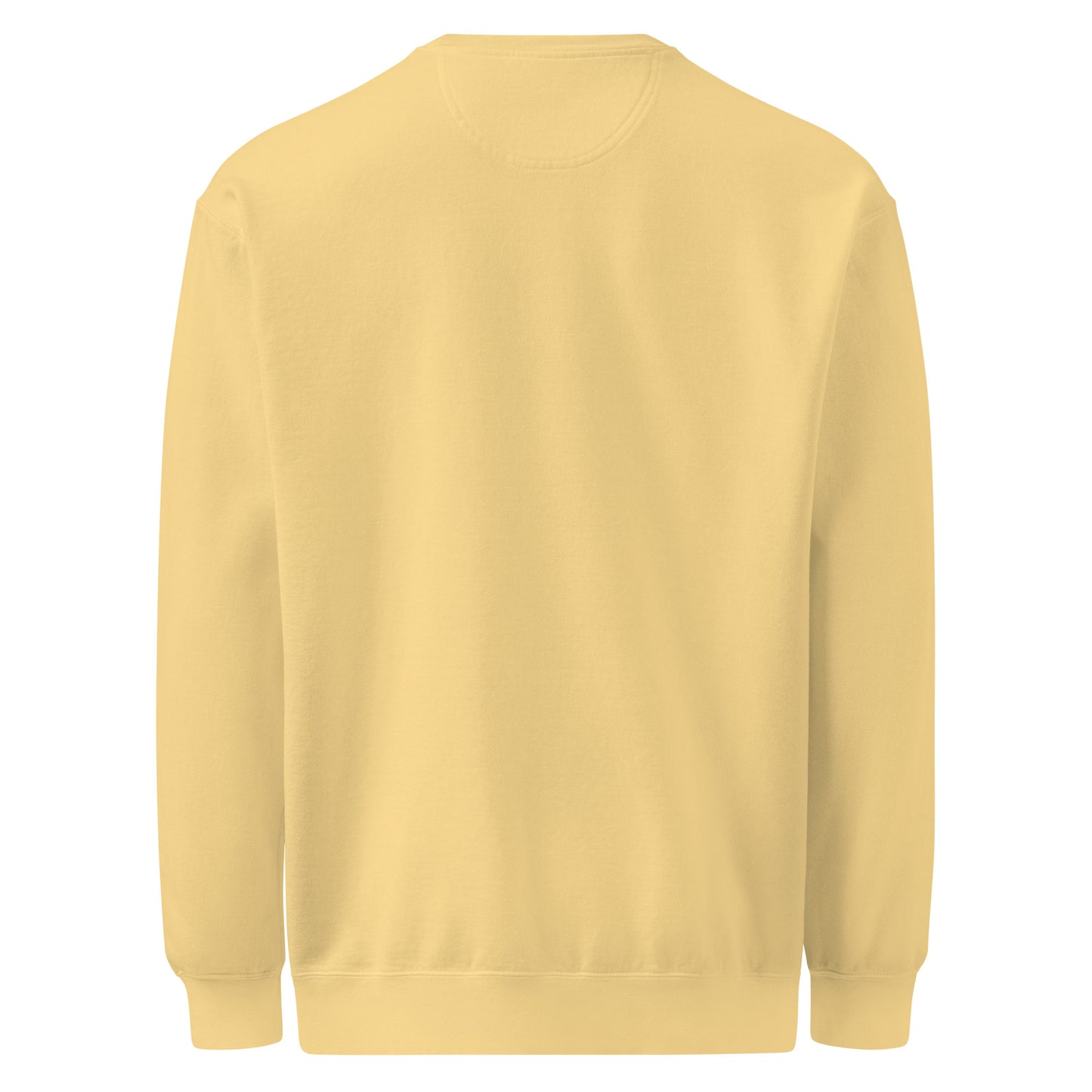 Unisex garment-dyed sweatshirt - Creative Ayeesha