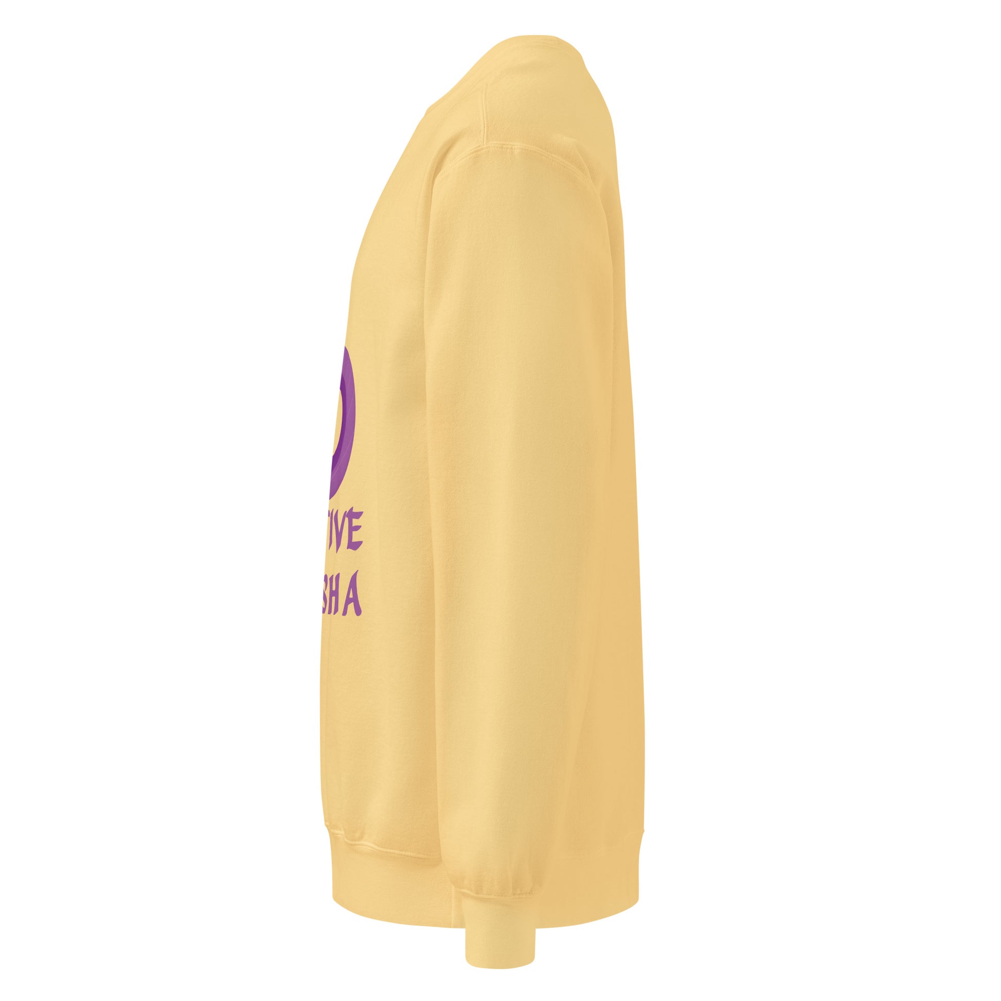 Unisex garment dyed white sweatshirt for fall   - Creative Ayeesha